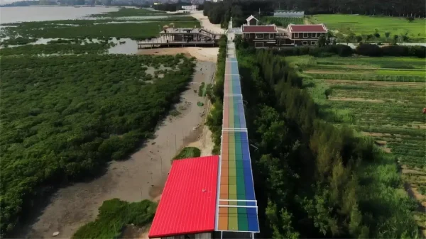 Mangrove Ecological Wind and Rain Corridor on Meizhou Island Putian City Fujian Province