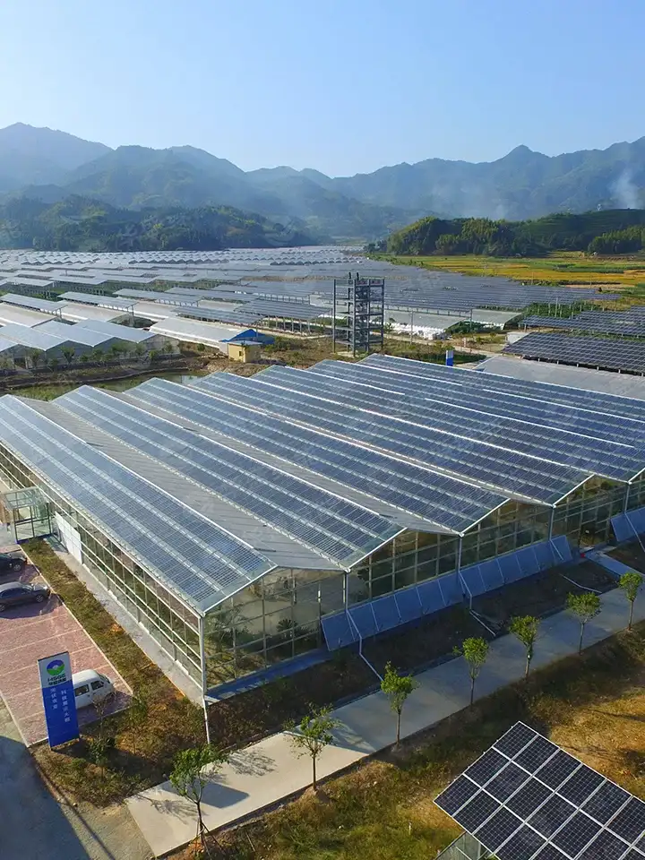 agricultural greenhouses BIPV 3